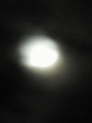 IMG_0748.JPG