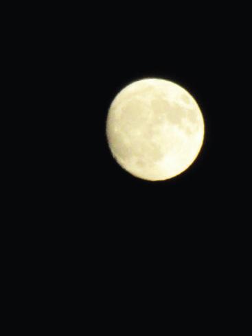 IMG_0771.JPG