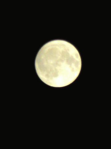 IMG_0816.JPG