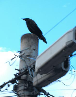 IMG_1289.JPG