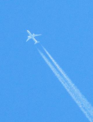 IMG_3144.JPG