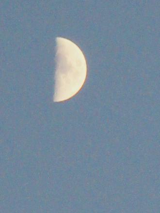 IMG_3803.JPG