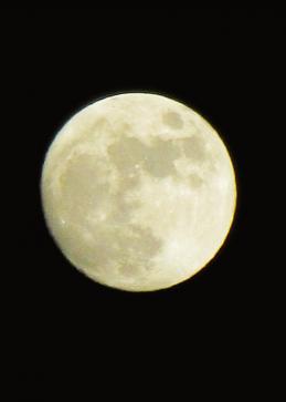 IMG_0912.JPG