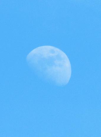 IMG_2678.JPG