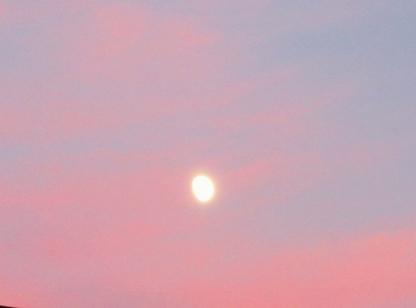 IMG_4977.JPG